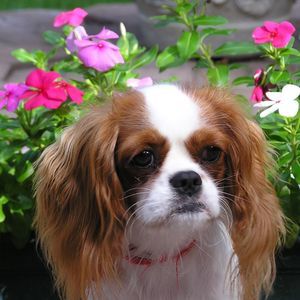 Meet your Posher, Michelle